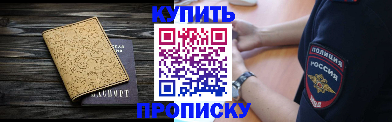 прописка гарантия в Тынде